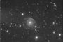 ngc2805