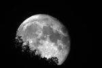 lune
