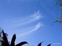 Cirrus 01
