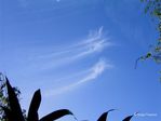 Cirrus 01