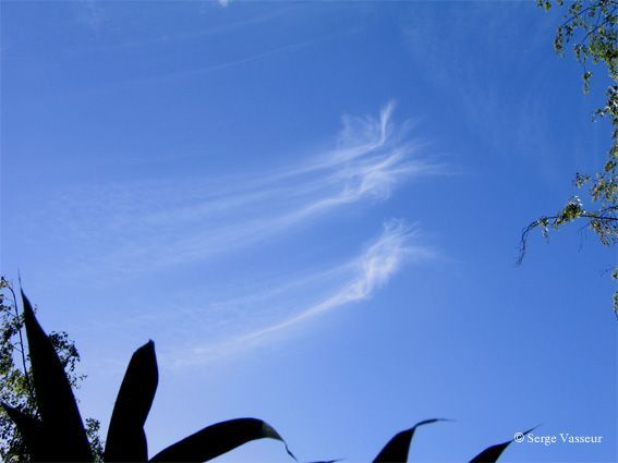 Cirrus 01