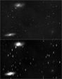 Conjonction M65/66 et la comete Tsushinshan