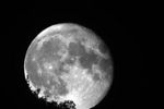 lune