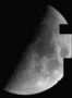 Mosaïque lunaire