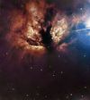 NGC 2024