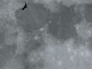 Animation avion