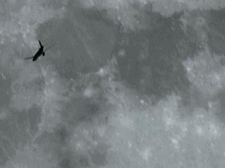 Animation avion