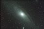 M31