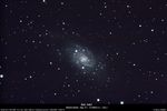 NGC 2403