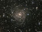 IC 342