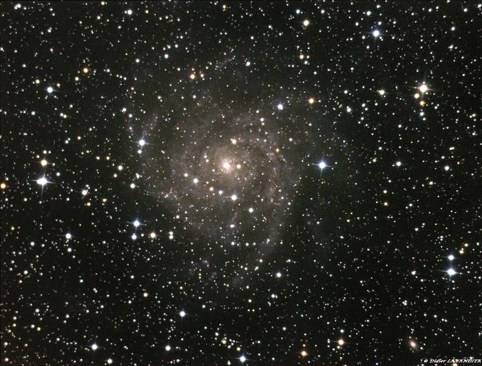 IC 342