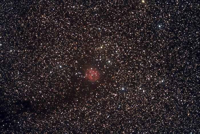 IC5146 (cocoon)