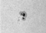 Tache 875 du 02-05-06 bis