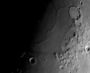 podidonius