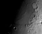 podidonius
