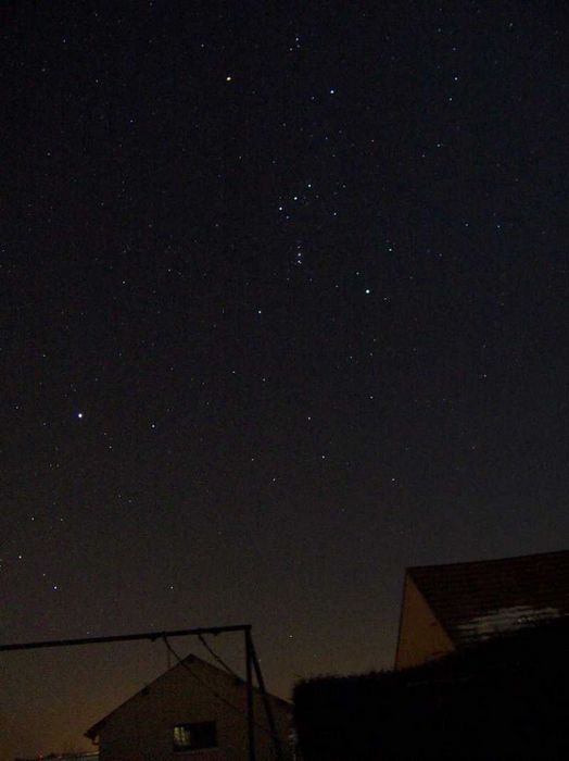 orion zenith