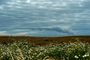 fumee nuages D