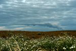 fumee nuages D