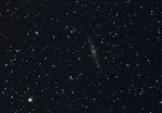 NGC981