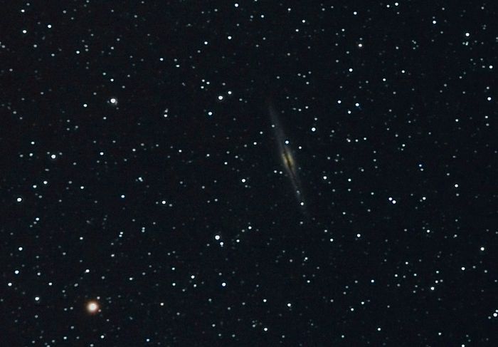NGC981
