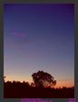 conjonction venus -jupiter