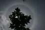 Halo de 22°