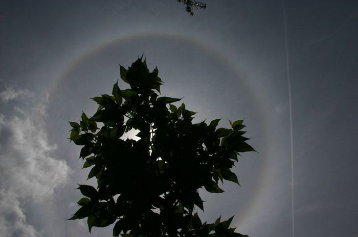 Halo de 22°