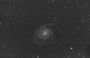 m101 C8