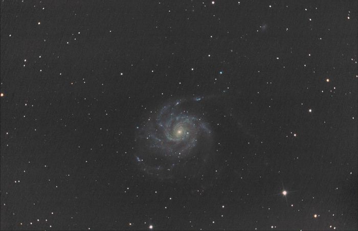 m101 C8