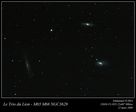 Trio du Lion