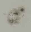 Tache le 24.10.03