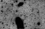 L'arc de M81: image à haut contraste