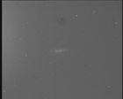 M 82
