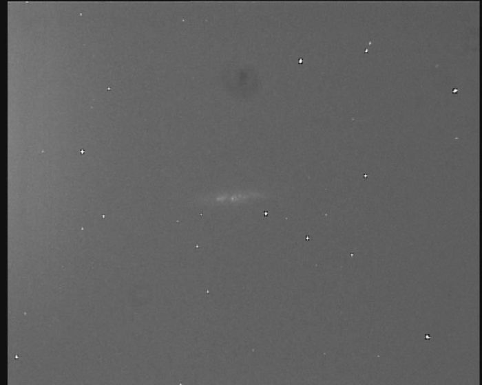 M 82