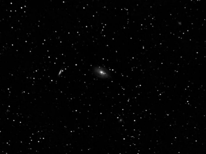 M81/82