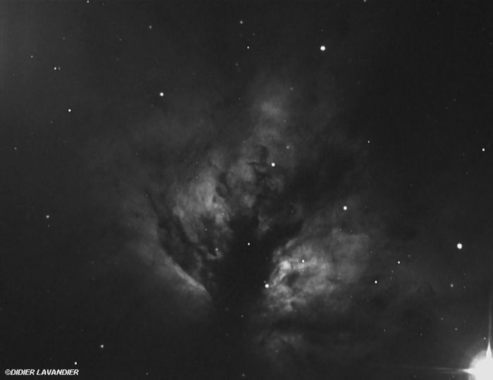NGC 2024 - Les Flammes