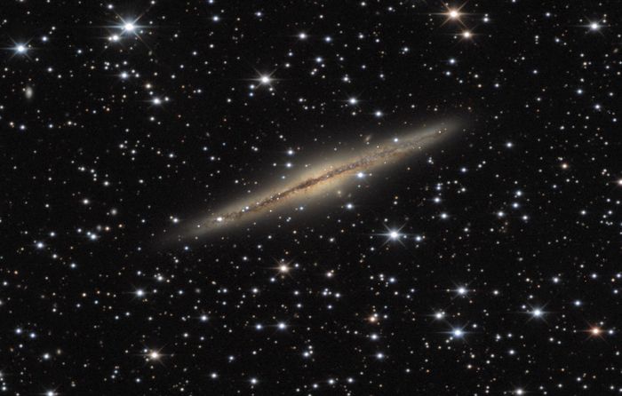 ngc891  crop