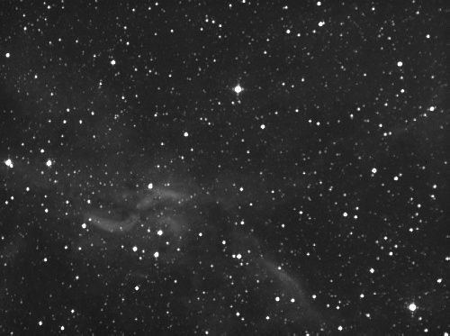 X Nebula