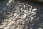 Ombres