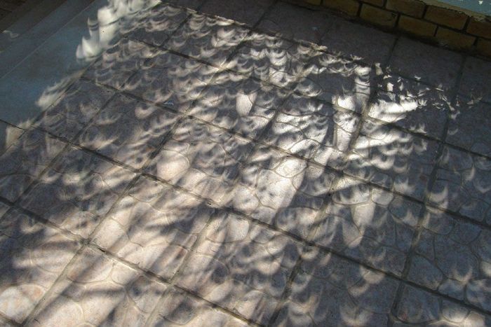 Ombres
