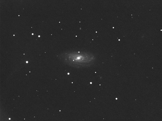 Galaxie NGC 3953