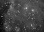 La nébuleuse de la tête de singe - NGC2174