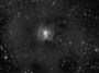Nébuleuse de l'Iris (NGC 7023)