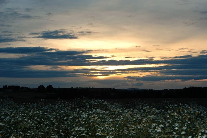 soleil couchant A