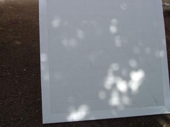 forme du soleil sous le feuillage