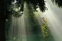 rayons solaires