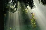 rayons solaires