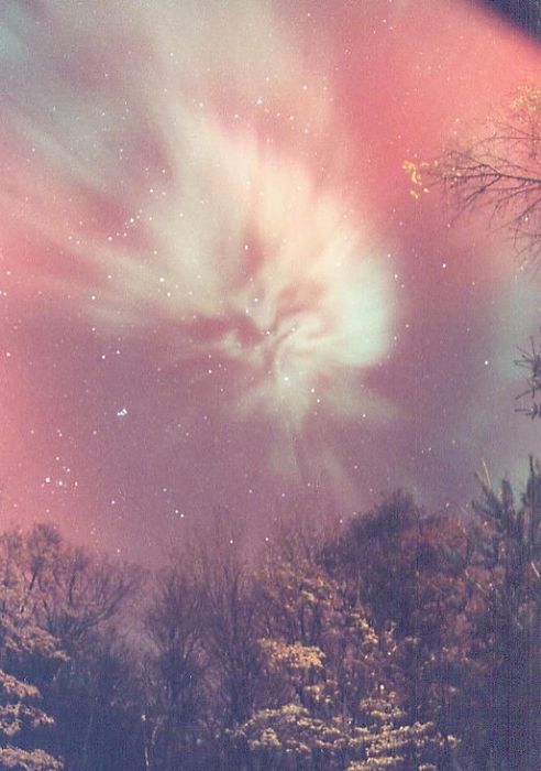 Le sorcier des aurores