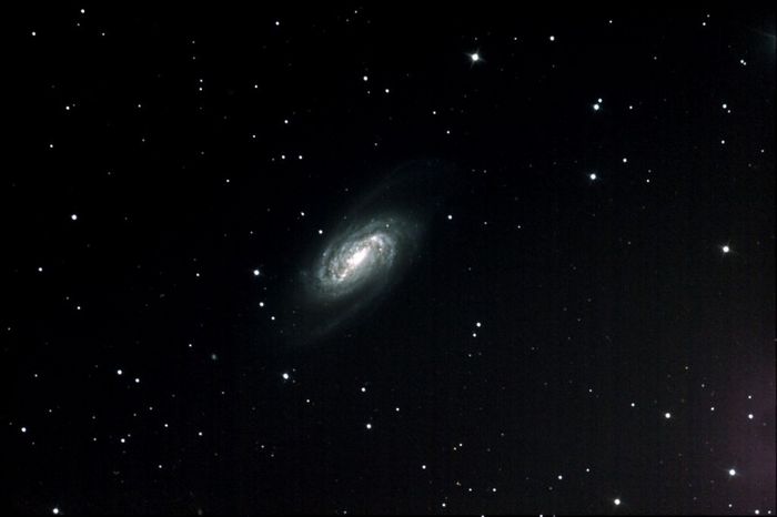 ngc2903