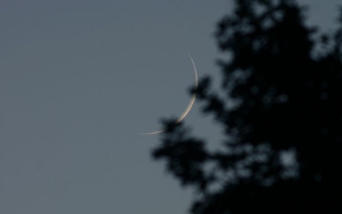Jeune lune